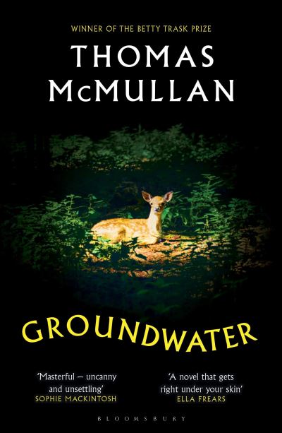 Groundwater