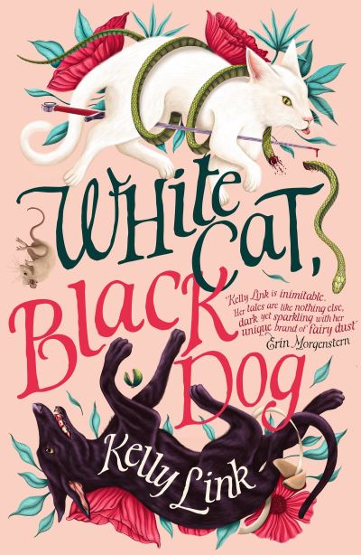 White cat, black dog