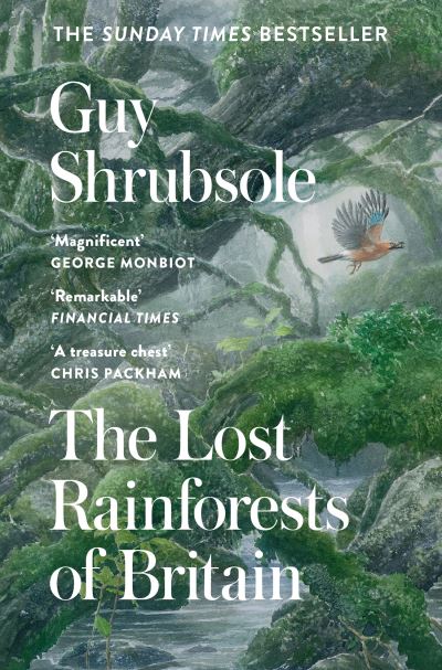 The lost rainforests of Britain