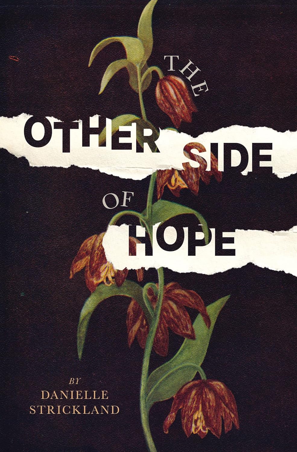 the other side of hope