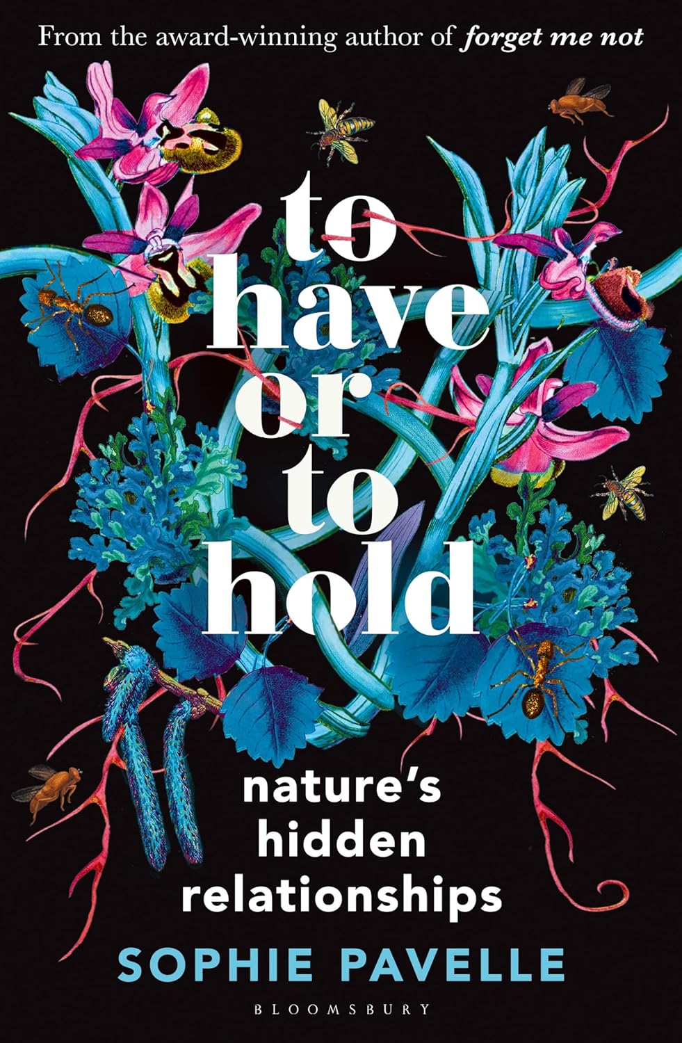 To Have or To Hold: Nature's Hidden Relationships - Pre Order