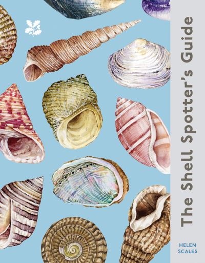 The shell-spotter's guide