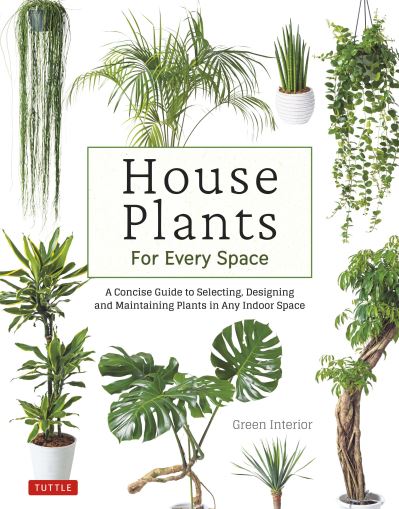 House plants for every space