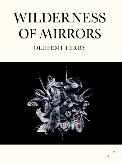 Wilderness of Mirrors