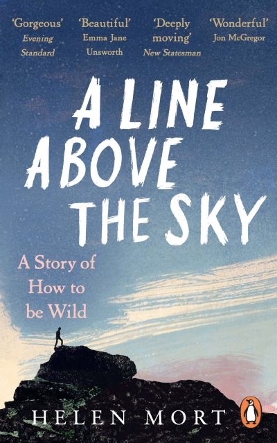 A line above the sky