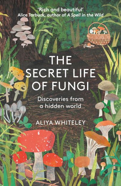 The secret life of fungi