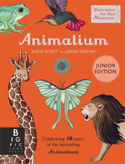 Animalium