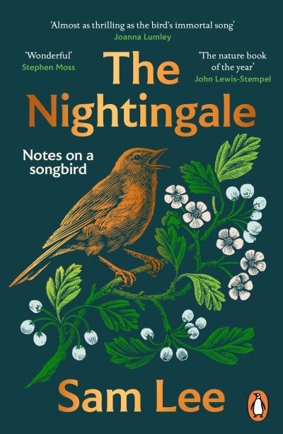 The nightingale