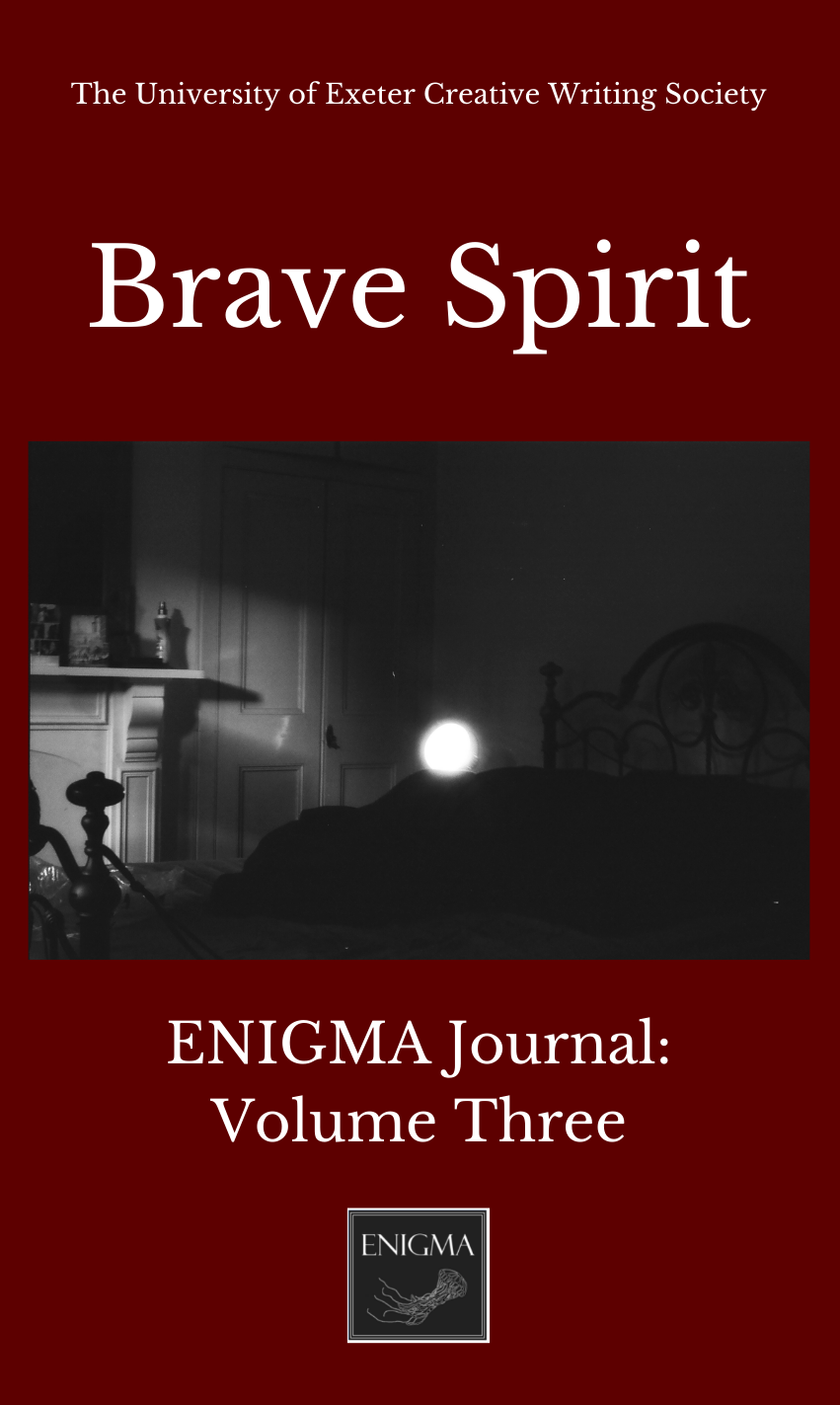 ENIGMA Volume 3: Brave Spirit