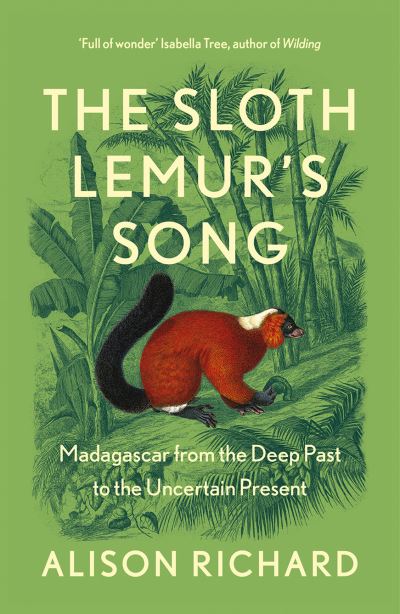 The sloth lemur's song