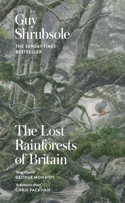 The lost rainforests of Britain