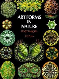 Art Forms in Nature