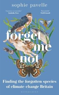 Forget me not