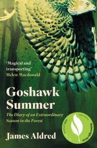 Goshawk summer