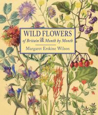 Wild Flowers of Britain